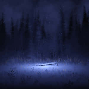 The Night Forest Wallpaper