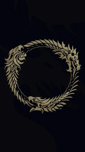 The Ouroboros Of The Elder Scrolls Series Wallpaper