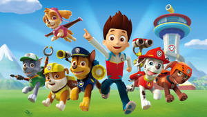 The Paw Patrol Crew Wallpaper