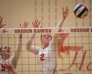 The Perfect Match - Volleyball And Laptop Wallpaper