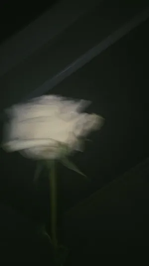 The Perfect Union Between Light And Darkness Wallpaper