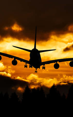 The Plane Is Flying Wallpaper