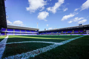 The Pride Of East Anglia: Ipswich Town Football Club Wallpaper