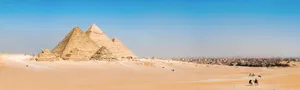 The Pyramids Of Giza Group Of Camel Tours Wallpaper