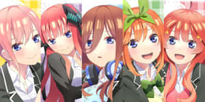 The Quintessential Quintuplets Looking Happy Wallpaper