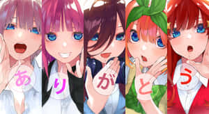 The Quintessential Quintuplets Looking Surprised Wallpaper