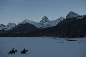 The Revenant - Leonardo Dicaprio In The Wilderness Wallpaper