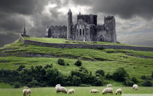 The Rock Of Cashel Ireland Wallpaper