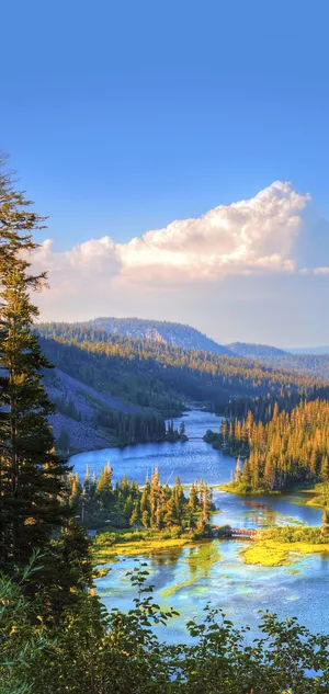 The Samsung Galaxy S10 Plus, The Latest In Cutting-edge Tech Wallpaper