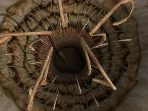 The Sarlacc Pit From Star Wars Wallpaper