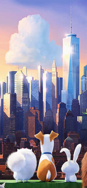 The Secret Life Of Pets 2 City View Wallpaper