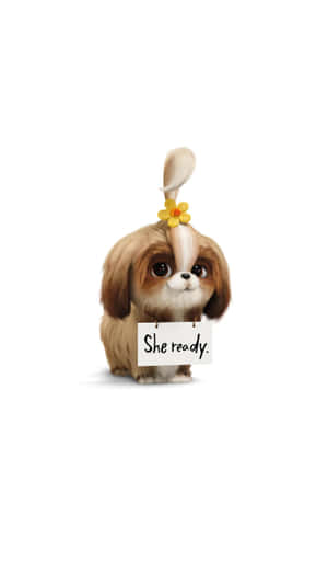 The Secret Life Of Pets 2 Daisy Wallpaper