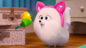 The Secret Life Of Pets 2 Gidget Wallpaper