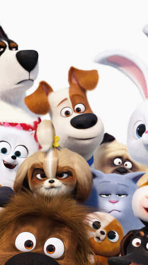 The Secret Life Of Pets 2 Hd Phone Wallpaper