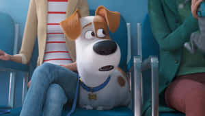 The Secret Life Of Pets 2 Max Wallpaper