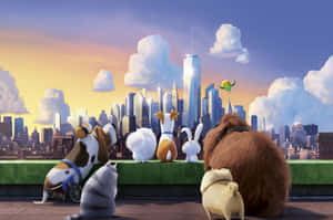 The Secret Life Of Pets Wallpaper