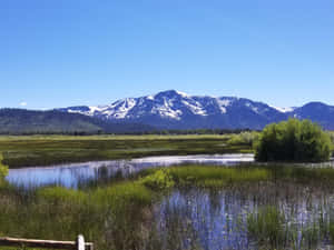 The Serene View Of Lake Tahoe Wallpaper