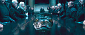 The Slytherin's Sensation: Harry Potter's Serpent Encounter Wallpaper