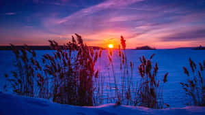 The Splendor Of Sunlight Breaking Through Winter Skies Wallpaper