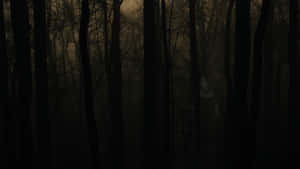 “the Spooky Woodlands Of Haunted Forests” Wallpaper