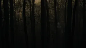 “the Spooky Woodlands Of Haunted Forests” Wallpaper