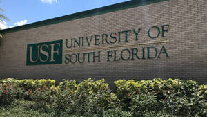 The Striking Signage Of The University Of South Florida. Wallpaper