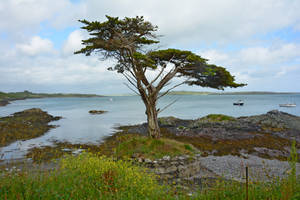 The Stunning Coast Of Ireland Wallpaper