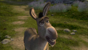 The Talking Donkey Wallpaper