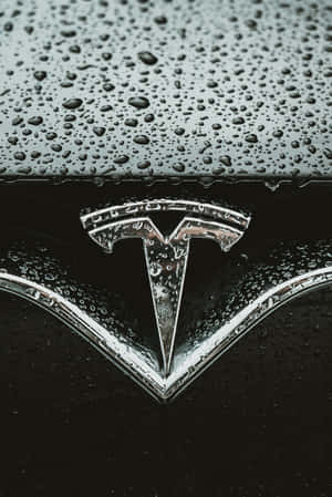 The Tesla Logo In 4k Resolution Wallpaper