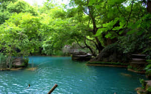 The Tranquil Beauty Of Nature In The Clear Waters At Beautiful Lake. Wallpaper