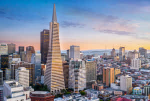 The Transamerica Pyramid's Beautiful Design Wallpaper