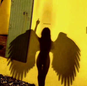 The Undefined Grace - Angel Shadow Pfp Wallpaper