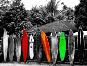The Vintage Surf Riding Experience Wallpaper