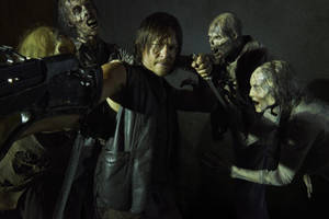 The Walking Dead Daryl Dixon Wallpaper