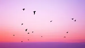 The Warmth Of Summer Wallpaper