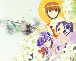 The World God Only Knows Flowers Wallpaper