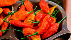 The World's Hottest Chili Pepper - Ghost Pepper Wallpaper