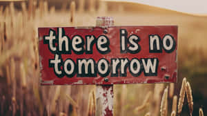 There Is No Tomorrow Sign Wallpaper