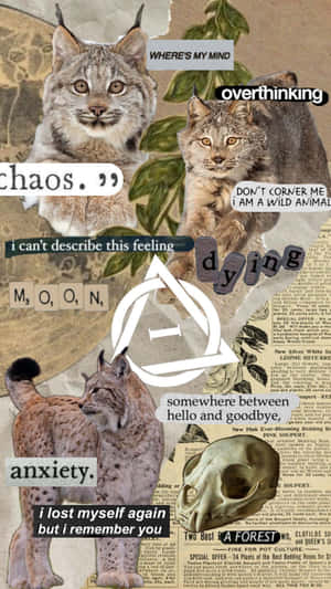 Therian Collage Lynx Thoughts Wallpaper