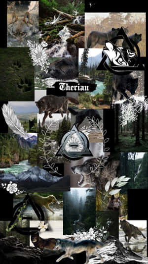 Therian Collage Wildlifeand Nature Wallpaper