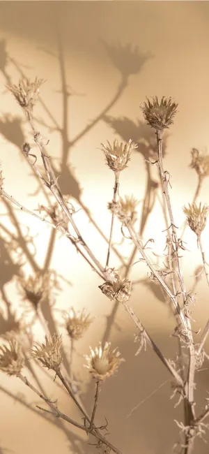 These Brown Flowers Wallpaper