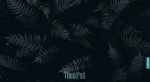Think Pad Fern Pattern Wallpaper Wallpaper