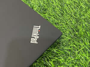 Thinkpad Laptopon Grass Wallpaper