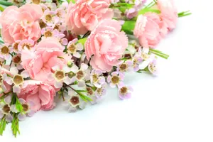 This Mesmerizing Shot Of The Milky Way Galaxy Is A Reminder Of The Vastness Of Space. Wallpaper