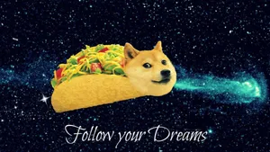 This Pup Has The Best Meme Game!