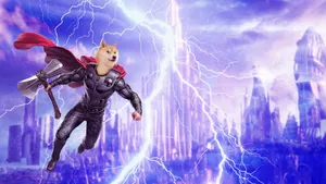 Thor Doge Wallpaper