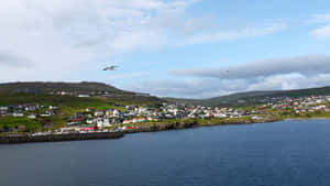 Thorshavn Coastline With Birds Flying Wallpaper