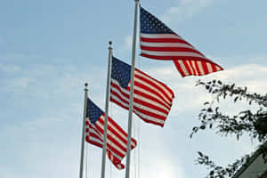 Three American Flags Waving Wallpaper