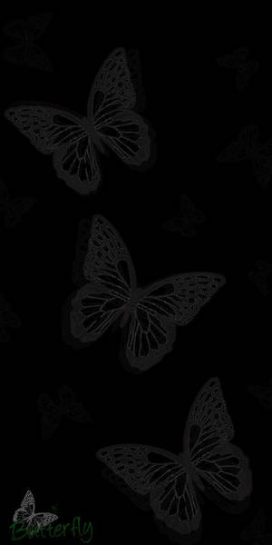Three Black Butterfly Graphics Wallpaper