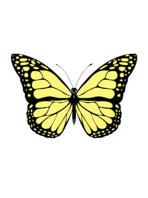 Three Cute Yellow Butterflies In Flight Wallpaper